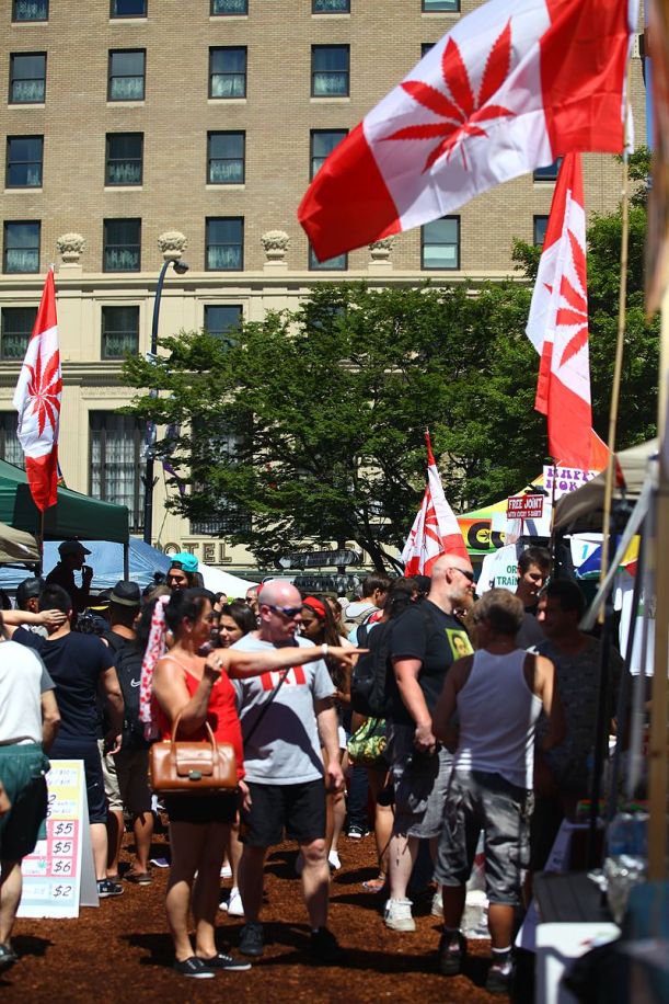 800px-canada_-_cannabis_day2c_marijuana_party_2014_40_art_gallery_281437005434029